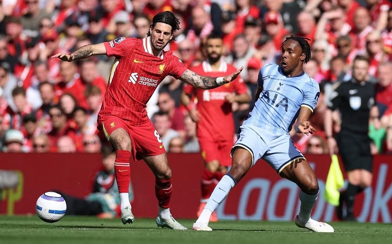 Soi Kèo Liverpool - Phân Tích Độc Quyền Từ Chuyên Gia OK9